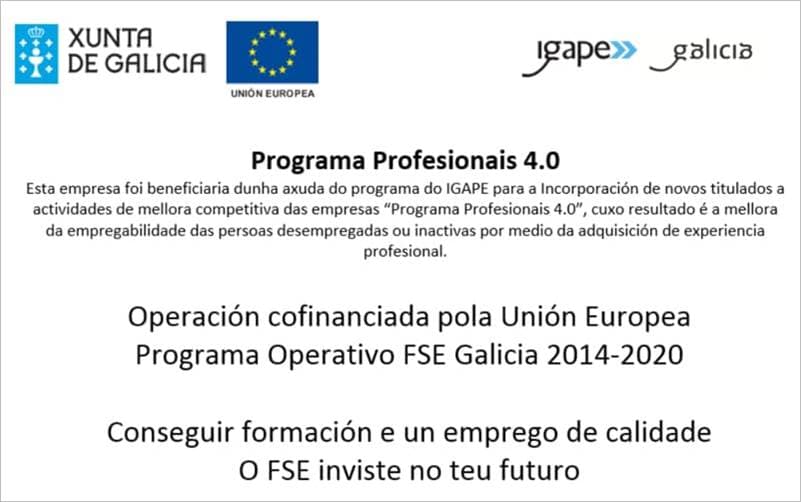 Programa Profesionales 4.0